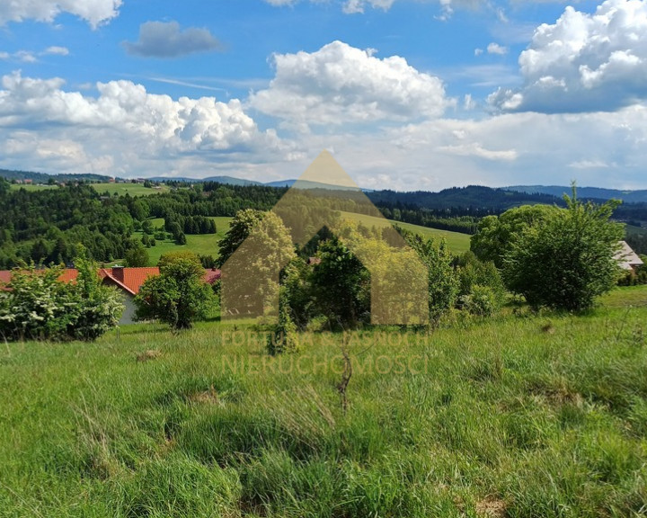 Działka Sprzedaż Jaworzynka